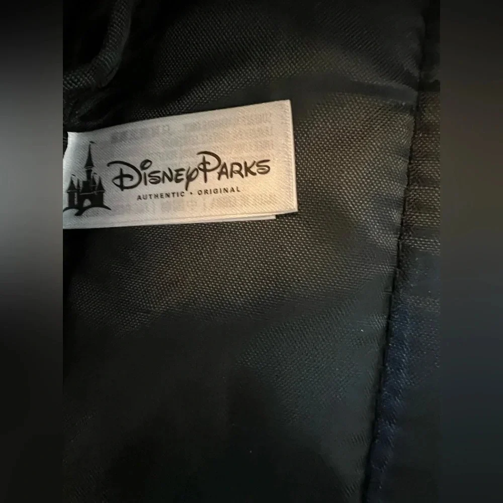 Disneyland Resort Park Exclusive Rainbow Mickey Backpack